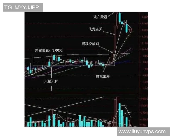 从零基础到高手之路滑板耐力训练全方位指南与技巧分享