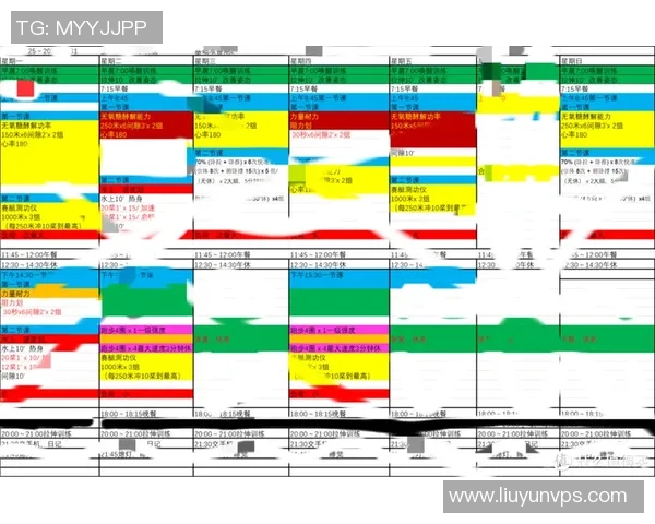 武汉足球队耐力表现的深度数据分析与探讨 武汉足球队耐力表现的深度数据分析与探讨